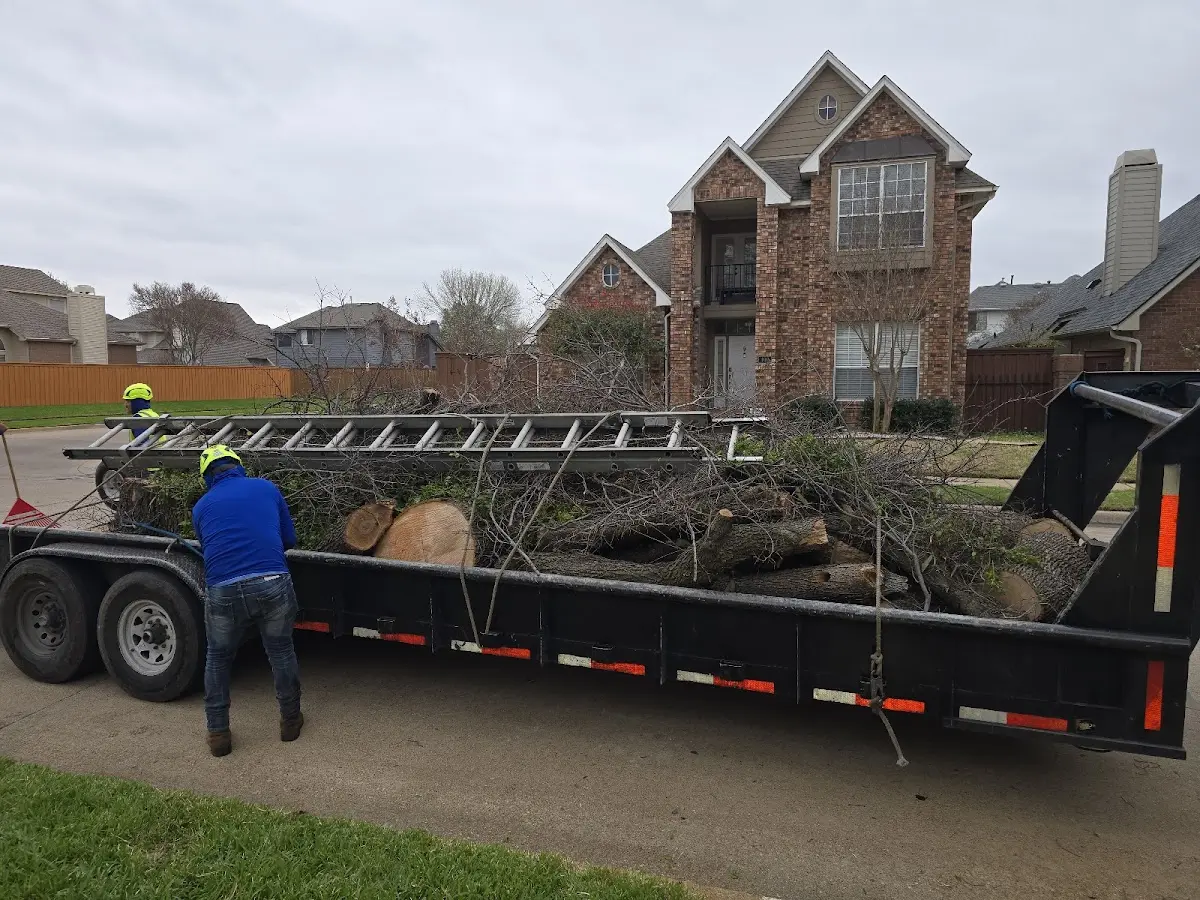 Expert Crown Reduction with proper safety equipment in Flower Mound